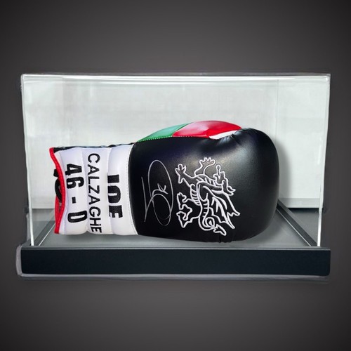Guantone boxe firmato joe - guantone,